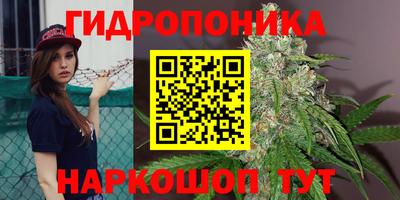 гашишное масло Лесосибирск