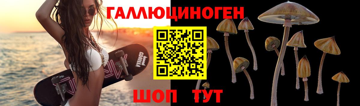 хочу наркоту  Псилоцибиновые грибы прущие грибы  Вход с VPN  Электрогорск  Галлюциногенные грибы прущие грибы 